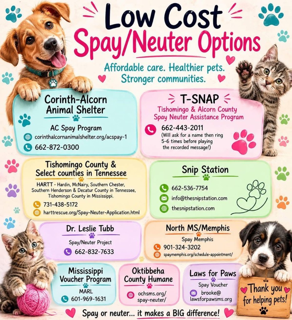 Low Cost Spay/Neuter Options